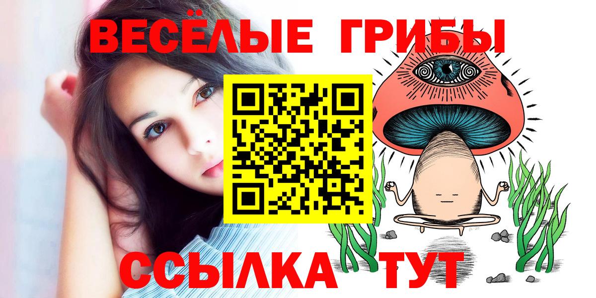 Галлюциногенные грибы Psilocybine cubensis Ахтубинск