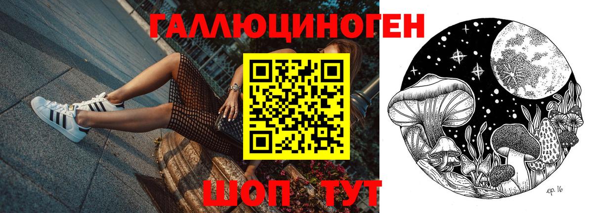 где найти наркотики  Псилоцибиновые грибы мицелий  Ахтубинск  Вход с VPN  Галлюциногенные грибы MAGIC MUSHROOMS 